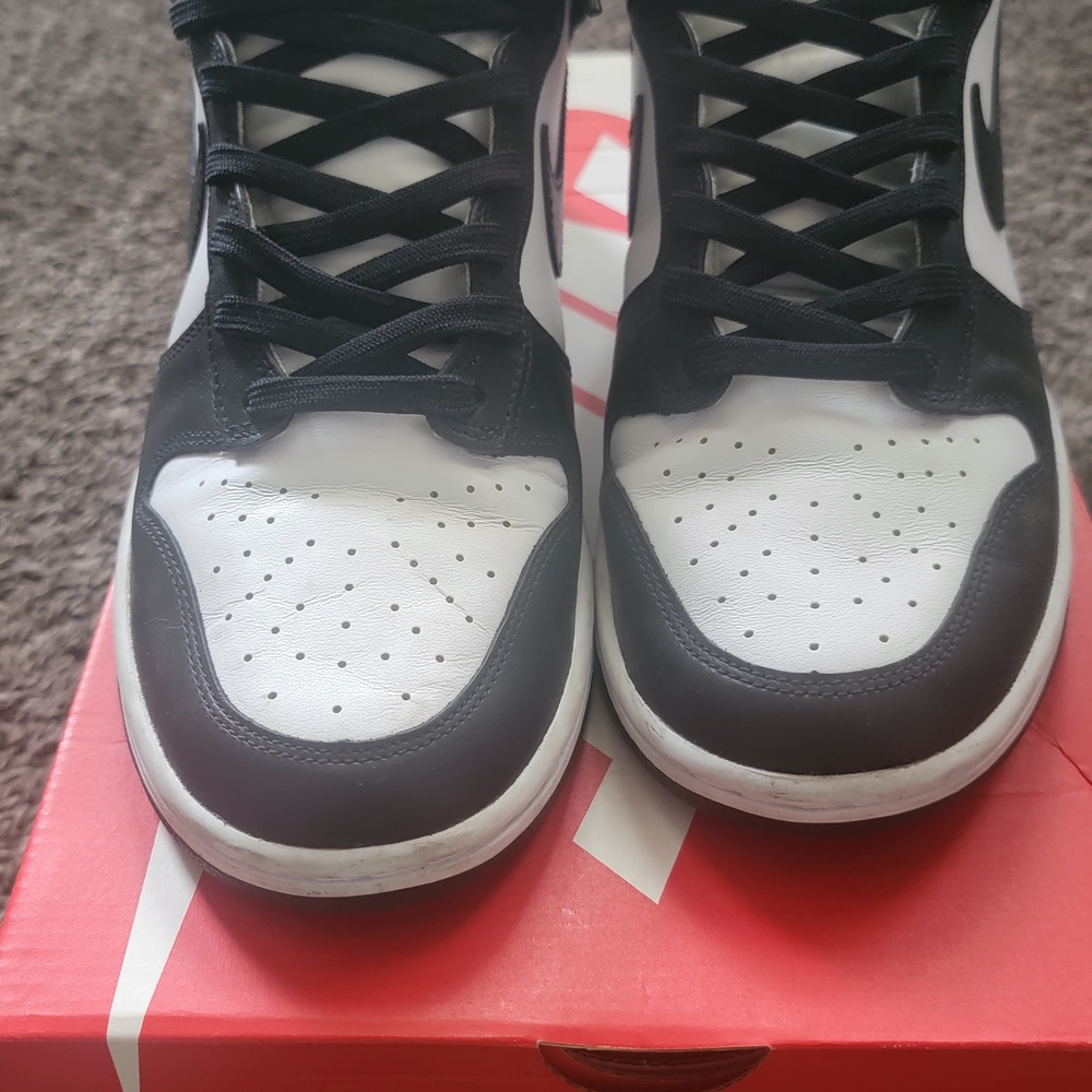 Men's Hightop Nike Dunks